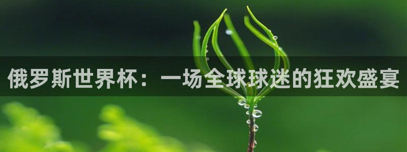 世界杯足球赛2026：俄罗斯世界杯：一场全球球迷的狂欢盛宴