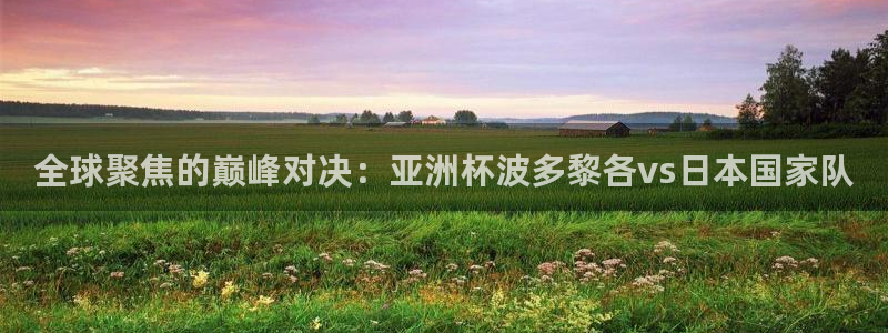 世界杯预赛赛程：全球聚焦的巅峰对决：亚洲杯波多黎各vs日本国家队