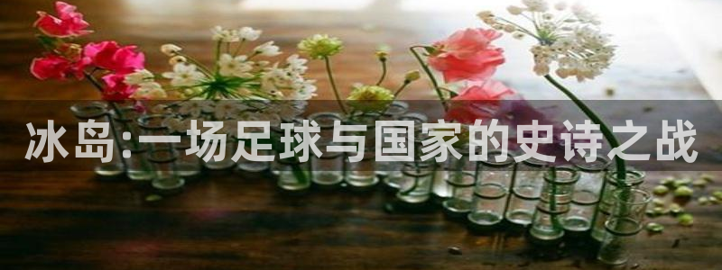 世界杯亚洲区预选赛：冰岛:一场足球与国家的史诗之战