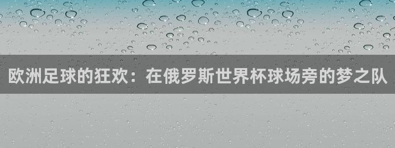 世界杯比赛赛程：欧洲足球的狂欢：在俄罗斯世界杯球场旁的梦之队