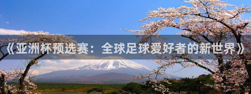 世界杯视频：《亚洲杯预选赛：全球足球爱好者的新世界》