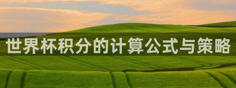 美洲杯直播：世界杯积分的计算公式与策略