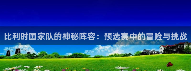 世界杯预选赛欧洲区赛程：比利时国家队的神秘阵容：预选赛中的冒险与挑战