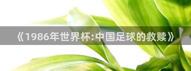 2026世界杯亚洲预选赛：《1986年世界杯:中国足球的救赎》