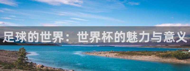 2026世界杯亚洲预选赛赛程：足球的世界：世界杯的魅力与意义