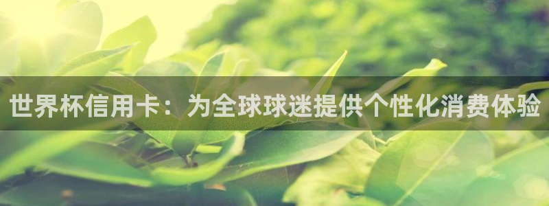 2026世界杯倒计时：世界杯信用卡：为全球球迷提供个性化消费体验